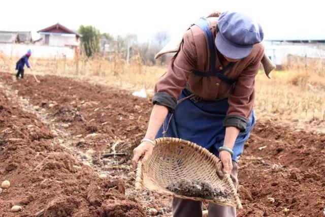 �������ʷ�Ч��ô�ӣ���οƌW(xu��)ʩ�û���������