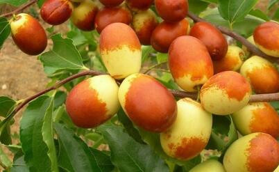 ����ʩ���м��ɣ�����ʩ�ʵ���������Щ��