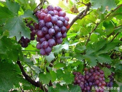 ��������ʩ�����x�����