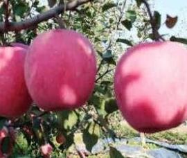 ��ô׌�O(p��ng)��������𣿿ƌW(xu��)׷ʩ⛷����P(gu��n)�I