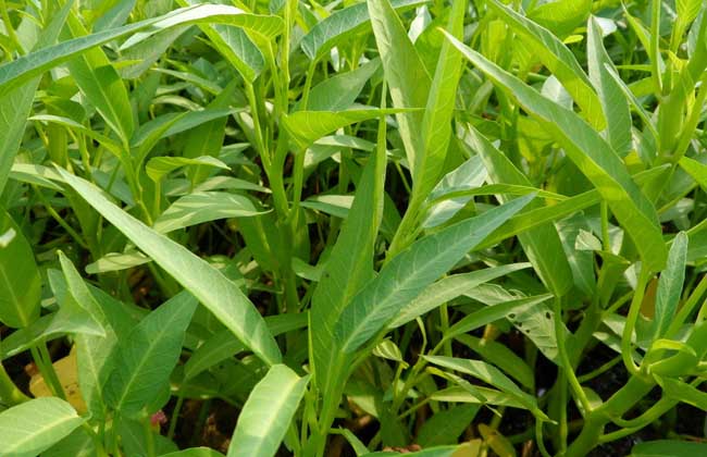 ������ˮ�ܷʡ����r(ji��)�񣡣�����֪�����c(di��n)�M(j��n)����