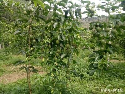 ������m��ʩ�~��ʣ������~��ʅR��