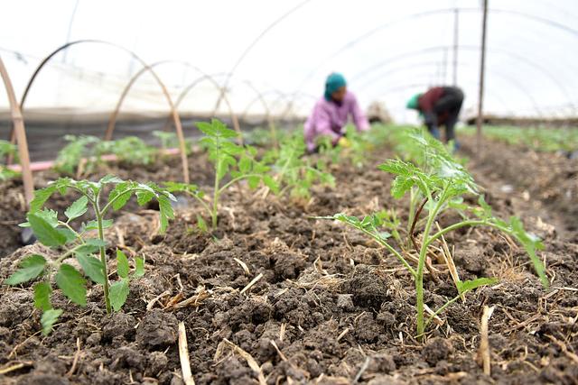 ��ʩ��������Щ��̎���＾���@ʩ�ʕr�g��������