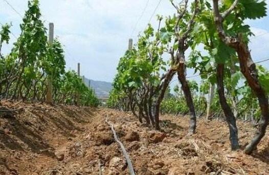 ʩ�ʹ�ˮ���o��ɣ���δ_����ˮ����