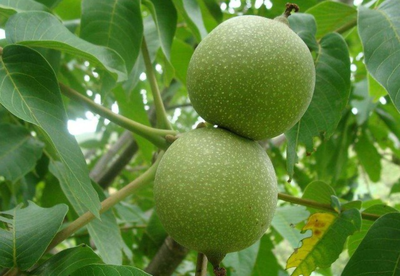 ���Ҙ��@��ʩ�ʲ����ѳ��L�������@��ʩ�ʆ᣿