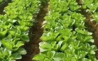 �߲���Ҫ��(y��u)�|�߮a(ch��n)���@Щʩ��Ҫ�cһ��Ҫ��ӛ