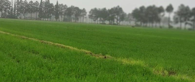 ���_����ˮ��ʩ�ʼ��g�����|�߮a�б���