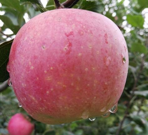 ��ô׌�O������������ƌW׷ʩ⛷����P�I