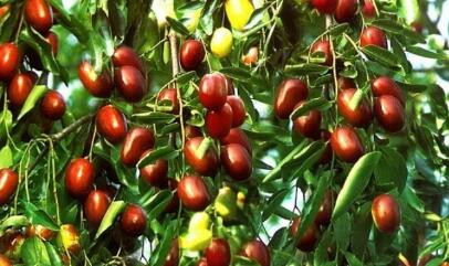 ����ʩ�ʺ���Ҫ��֔����֔��