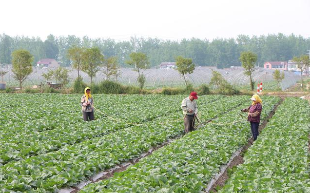 ʩ���^���г�����8���e�`