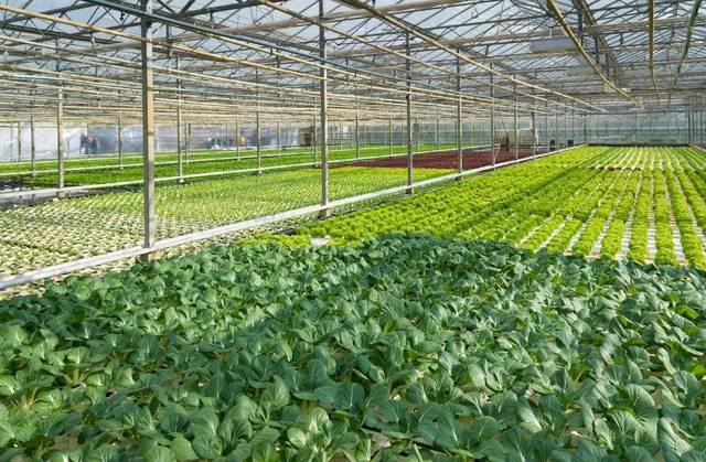 ˮ�ܷ����ƌW(xu��)�_���������a(ch��n)��Ȼ�ɣ�