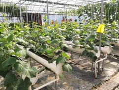 �S��ʩ�ʵ��傀�e�`