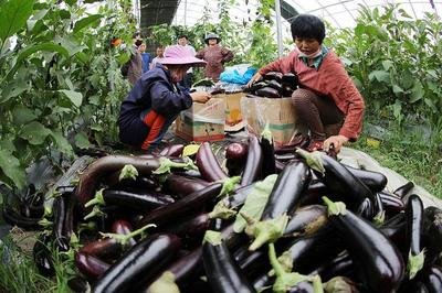 ���������ʵ���ô�k�����ӵķNֲ���g�c����