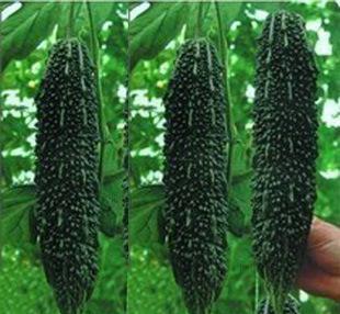 �Nֲ�߮a�ڿ�ϑ�������Щ�������ڿ�ϵĸ߮a����