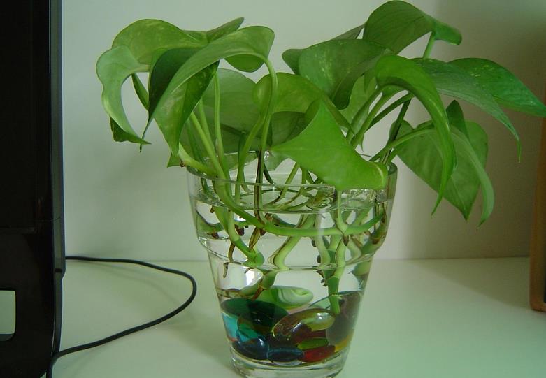 ˮ�໨�ܑ�(y��ng)ԓ���ʩ��