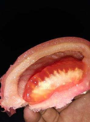 ���ѿ��Ĺ���ʲôԭ�򣿷��ѿ��Ĺ���ô�A(y��)����