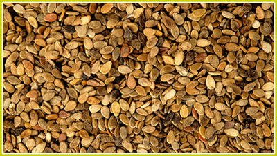 ���׌���ϷN�Ӱl(f��)ѿ�����ϷN�ӵĴ�ѿ��������Щ��