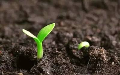 7�N��r����ֹʹ�þ�����