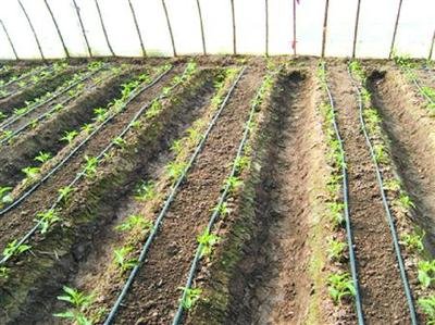 �����úÛ_ʩ�ʣ�