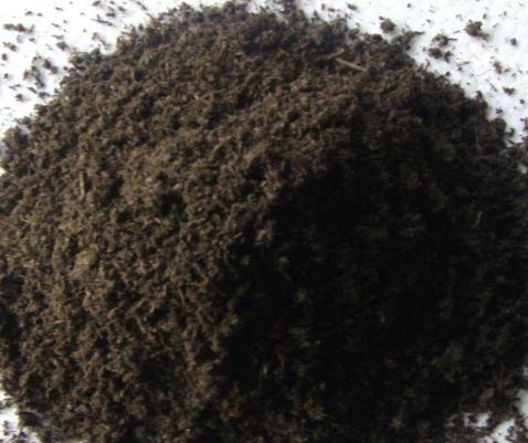 �傀����ָ�����ʵĿƌWʩ��