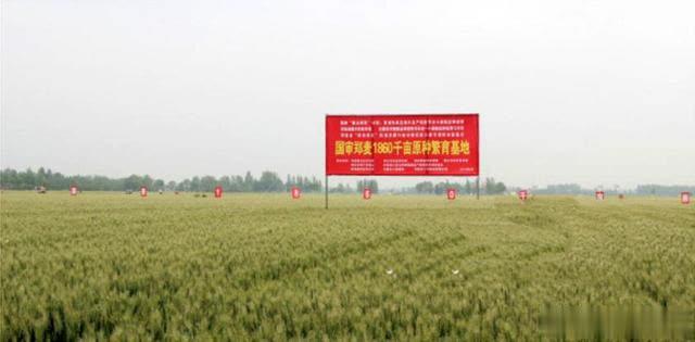 �����R�������������^��С�����ʩ�ʣ�