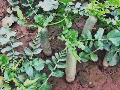 ��������}��Ʒ�|��һ��Ҫ�����ڸ���