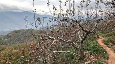 ���@ʩ���@��������ʡ�X��ʡ����