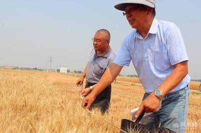 �ŷNС�����a���g���s�o�^�����ɣ�