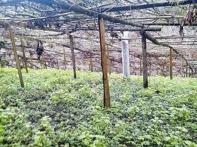 ��ѩ������⣬�Oʩ�߲����aע�Ᵽ�ط��Lѩ