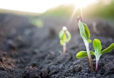 ���˾��ʛ](m��i)Ч��զ�k����(d��o)�¾���ʧЧ��ԭ��