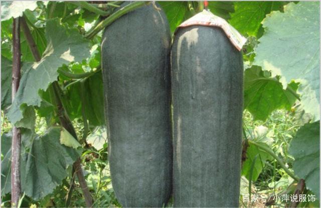 �Ķ��ϵ����L���ԁ������ϵ��Ϸ�Ҏ��