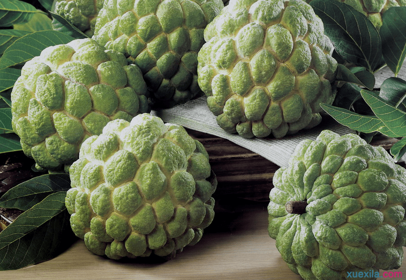 �óԵ���ȹ�Ҫ��ηNֲ����ȹ��Nֲ�r�g��������