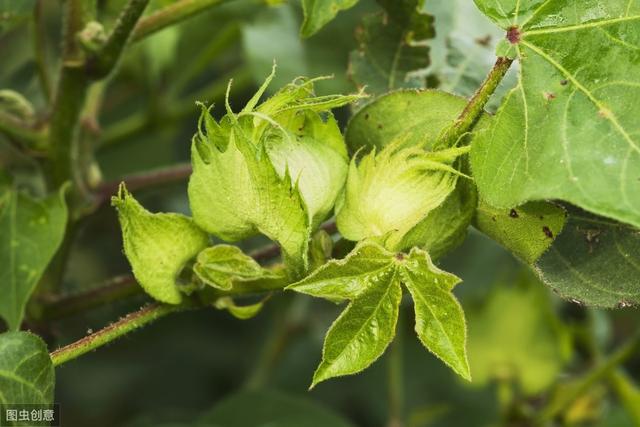 �޻�ȱ��զ�k���޻�ȱ��İY�ʩ�ʼ��g