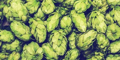 ơ�ƻ���ô�Nֲ��ơ�ƻ��߮a�Nֲ���g��