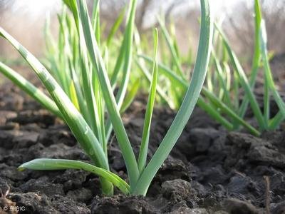 ����a���θߣ�����ʩ��Ҫע����헣�