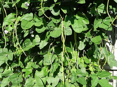 �����L�ݺã���Ҫ���ǵĿƌW(xu��)ʩ�ʹ���