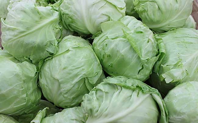 ���Ĳ˺ó��ֲ��F�������Ĳ�ʩ�����a�з���