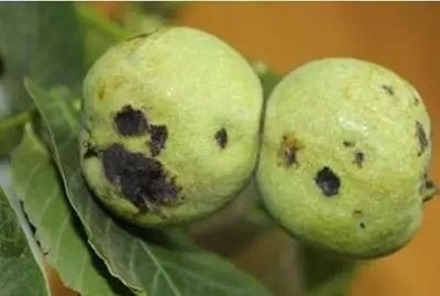 �������ӷ��κ��Ҳ����������@���c�͉���