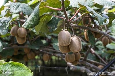 �J����ʩ���r�ҷʴ��ڵ��Ĵ��}������