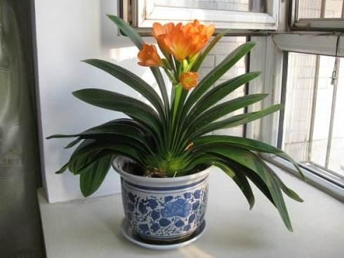 �����m������ô����ʩ�ʣ������Ŀ��^����