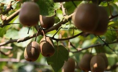 �J����ʩ���v������