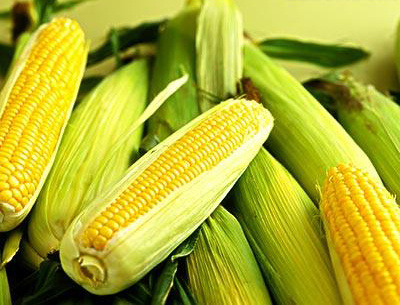 ������Ҫ��ʲô�r��ʩ�ʣ������׵�ʩ�ʼ��g