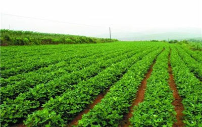 �S�Ϲϗl�l�Sզ�k���S�Ϲϗl�l�S�ķ��η���