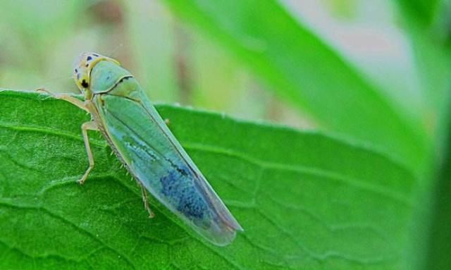 �Ҙ�(sh��)�~�sԓ��η������Ҙ�(sh��)�~�s���η�����