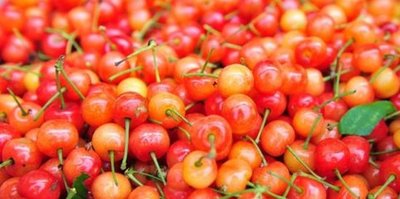 ����������η�����������ԓ����@����