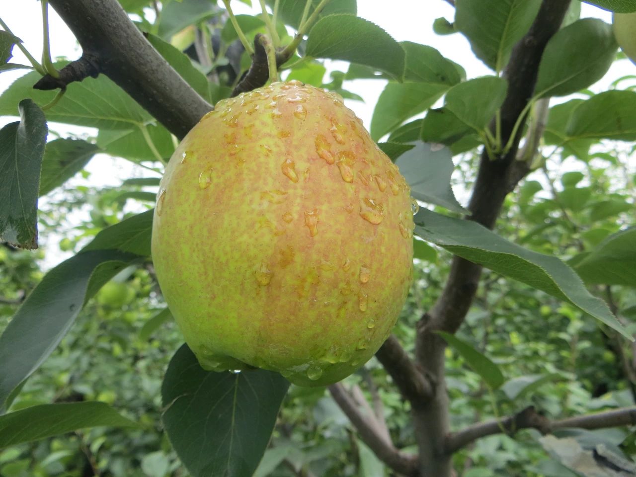 ɽ�|ʡ��a�I�lչָ����Ҋ