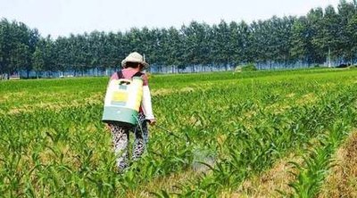 2020���r(n��ng)���s�ݿƌW(xu��)���ؼ��g(sh��)����