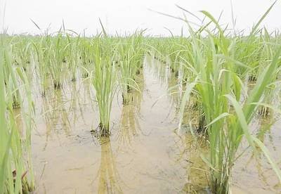 2020��ˮ���ش��x�����ؼ��g����