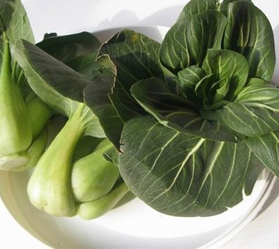 ���ȫ���|(zh��)����ȫ�L(f��ng)�U(xi��n)�ܿ�ָ��