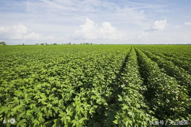 2020���޻�ǰ�����a(ch��n)���g(sh��)ָ����Ҋ